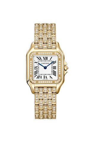Cartier Panthere