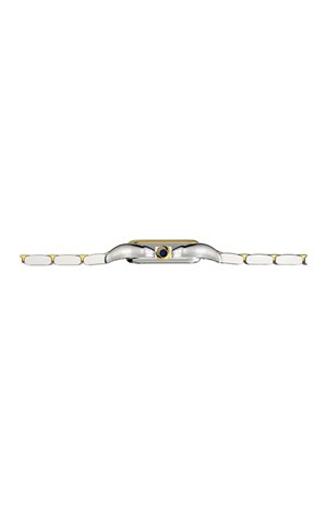 Cartier Panthere