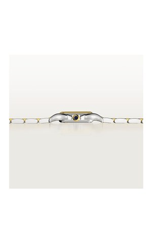 Cartier Panthere