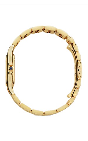 Cartier Panthere