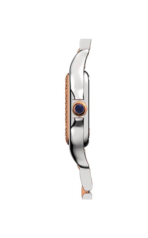 Cartier Panthere