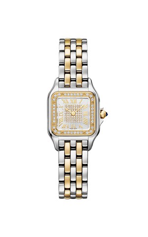 Cartier Panthere