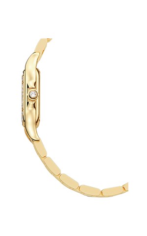 Cartier Panthere