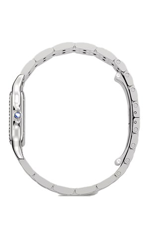 Cartier Panthere