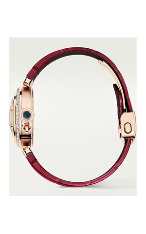 Cartier WJPA0021 Pasha Watches