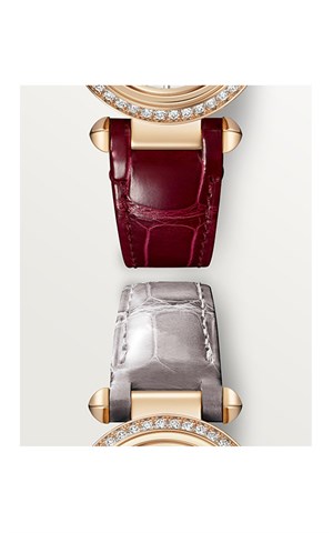 Cartier Pasha