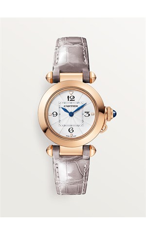Cartier WGPA0018 Pasha Watches