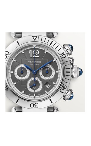 Cartier WSPA0027 Pasha Watches