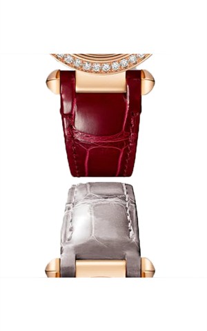 Cartier WJPA0017 Pasha Watches