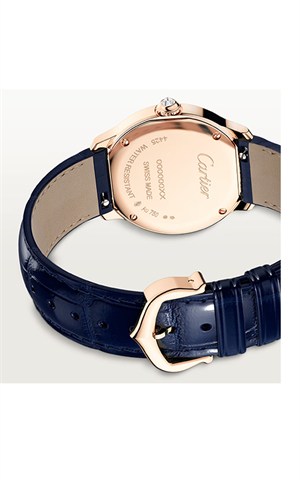 Cartier WJRN0009 Ronde Must Watches