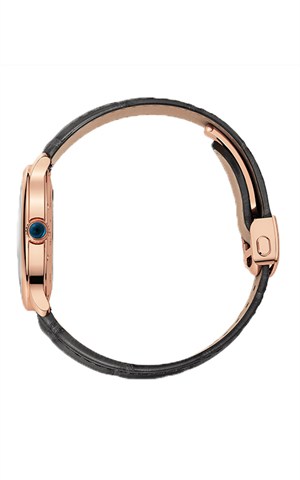 Cartier WGRN0011 Ronde Must Watches