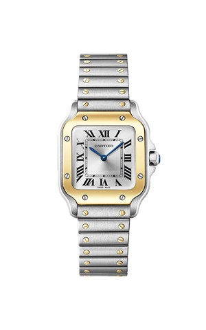 Cartier W2SA0033 Santos Watches