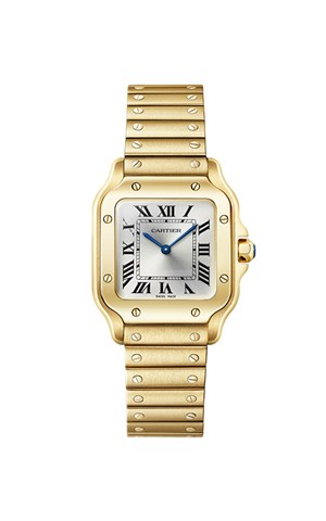 Cartier WGSA0107 Santos Watches