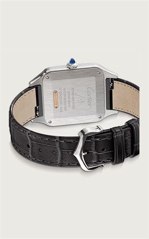 Cartier W2SA0011 Santos Watches