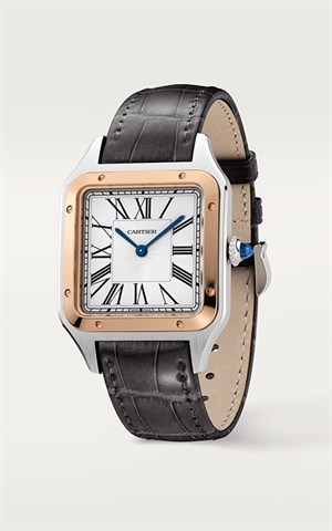 Cartier Santos
