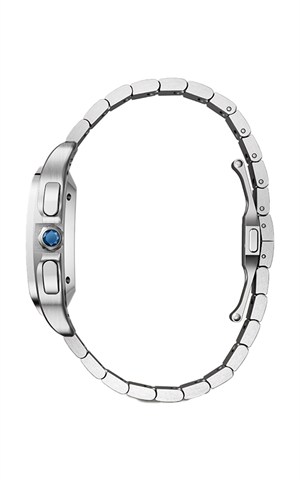 Cartier WSSA0083 Santos Watches