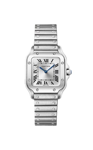 Cartier WSSA0082 Santos Watches