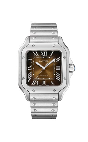 Cartier WSSA0065 Santos Watches