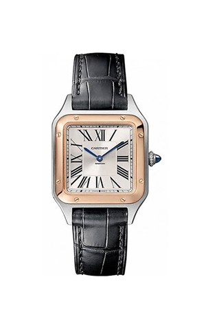 Cartier W2SA0012 Santos Watches