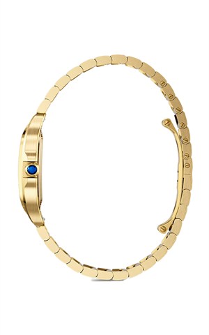 Cartier WGSA0107 Santos Watches