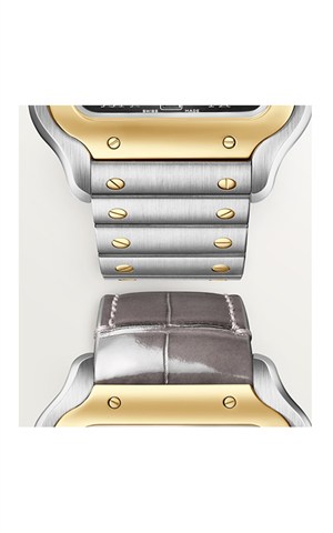 Cartier W2SA0030 Santos Watches