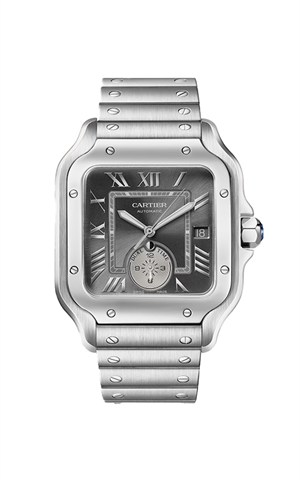Cartier WSSA0076 Santos Watches