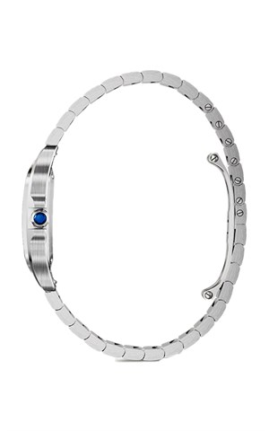 Cartier Santos