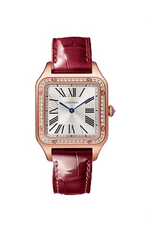Cartier Santos