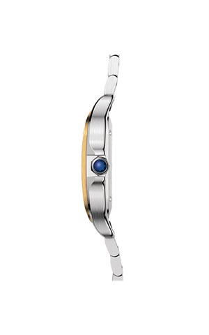 Cartier W2SA0016 Santos Watches