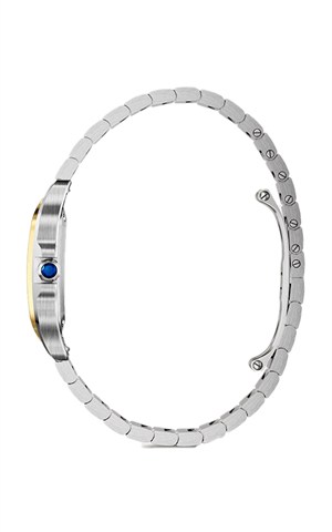 Cartier W2SA0033 Santos Watches