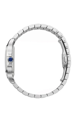 Cartier WSSA0064 Santos Watches