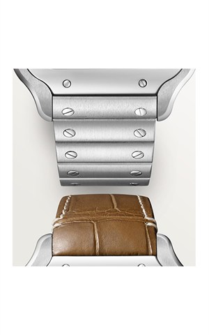 Cartier WSSA0065 Santos Watches