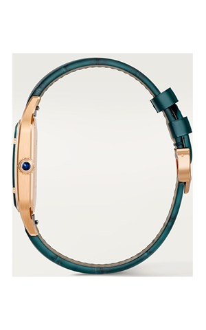 Cartier WGSA0098 Santos Watches