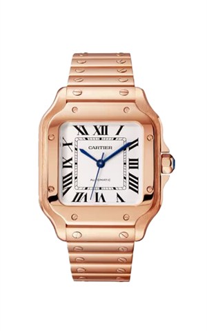 Cartier WGSA0031 Santos Watches