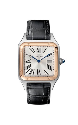 Cartier W2SA0011 Santos Watches