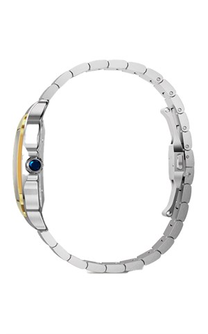 Cartier Santos