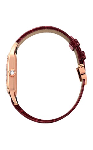 Cartier WJSA0016 Santos Watches
