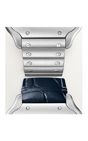 Cartier WSSA0071 Santos Watches
