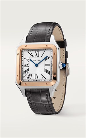Cartier W2SA0011 Santos Watches