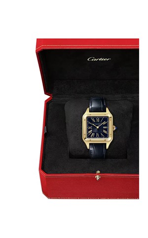 Cartier WGSA0077 Santos Watches