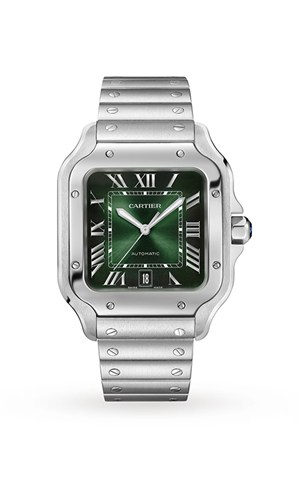 Cartier WSSA0062 Santos Watches
