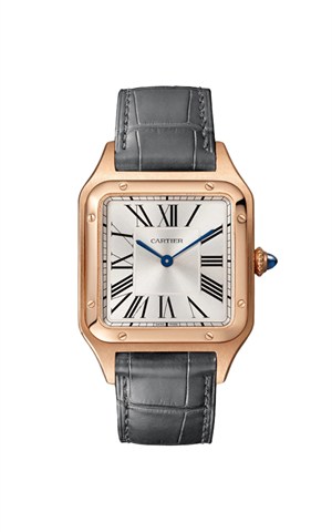 Cartier WGSA0021 Santos Watches