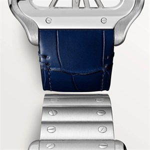 Cartier Santos