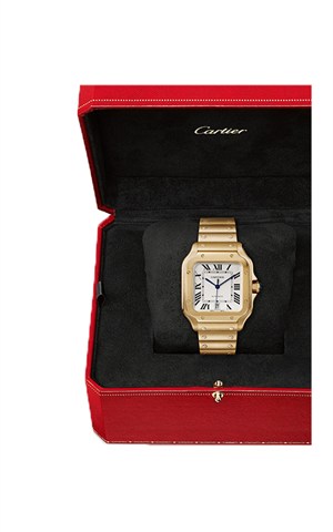 Cartier WGSA0029 Santos Watches