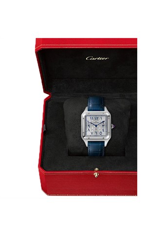 Cartier WGSA0086 Santos Watches