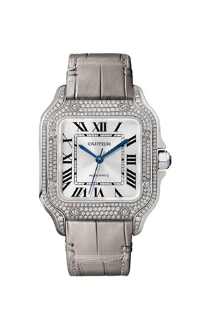 Cartier Santos
