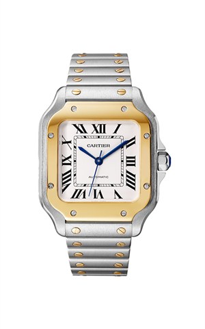 Cartier W2SA0016 Santos Watches