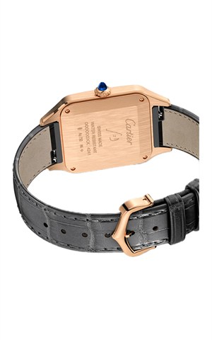 Cartier WGSA0021 Santos Watches