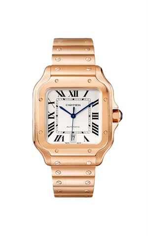 Cartier WGSA0018 Santos Watches