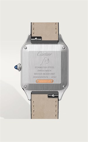 Cartier W2SA0012 Santos Watches